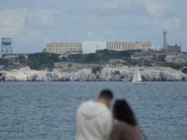 tiere: schwimmt ein kojote nach alcatraz