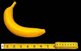 Neue Studie: Deshalb haben Menschen größere Penisse als Gorillas