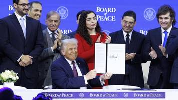 Trumps „Friedensrat“: „Da kann es einem schlecht werden“