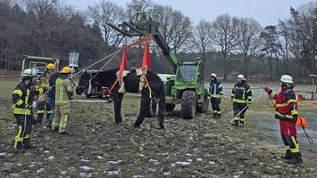 feuerwehr rettet völlig unterkühltes pferd von der eisigen weide