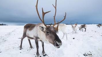 unsere lese-tipps zum schneegestöber: bücher voller eis, schnee und kälte