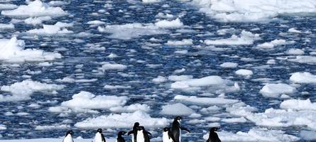 but why? ja, warum eigentlich nicht?