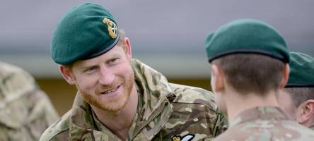 prinz harry fordert im nato-streit mehr respekt von donald trump – und das weiße haus legt nach