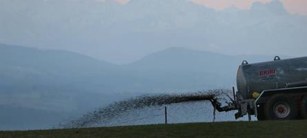 Viele Landwirte missachten Vorgabe: Künftig schärfere Gülle-Regeln