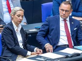 afd: weidel und chrupalla drücken sich vor der entscheidung