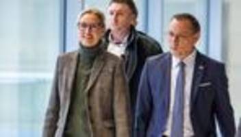 afd: neue afd-arbeitsgruppe soll regierungsarbeit vorbereiten