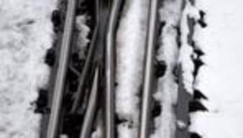 Mittelfranken: Bäume auf Gleisen – Zugstrecken um Nürnberg gesperrt