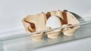 sozialstaatsreform: von guten ideen bleiben oft nur die kürzungsvorschläge