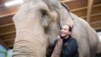 Tiere: Circus Krone trauert um Elefantendame Bara