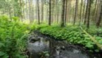 Umweltverschmutzung: Untersuchung: Bayerns Bäche leiden oft unter Pestiziden