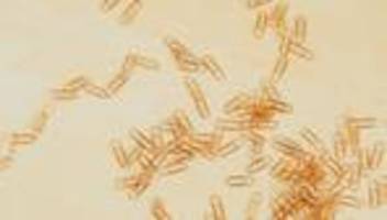 sozialstaatskommission: der neubau des sozialstaats ist eine illusion