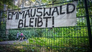 emmauswald: „man kann ihn nicht abholzen, ohne gegen eu-recht zu verstoßen“