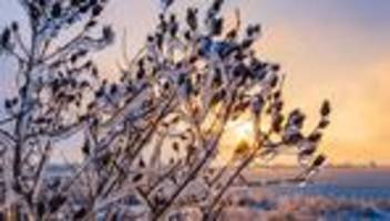 Fotografie: Bilder des Tages