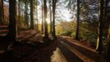 Klima: Ranking: Remscheid am besten gegen Klimagefahren gewappnet