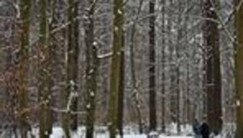 wetter: schnee, regen - und dann gebietsweise etwas sonne