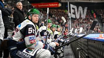 eisbären: jetzt ist ganz viel fantasie nötig