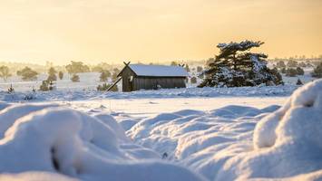 „Traum in Weiß“: So schön zeigt sich die Lüneburger Heide im Schnee