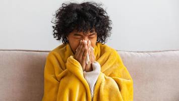 Interaktiver Grippe-Monitor: So stark grassiert die Influenza derzeit in Hamburg