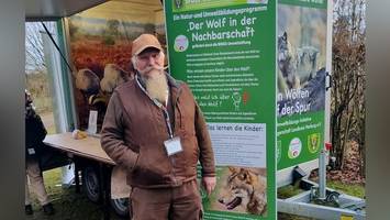 Sieben Irrtümer über den Wolf – und was ein Fachmann dazu sagt