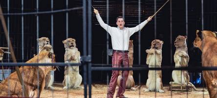 Trotz aller Kritik: Warum immer noch so viele Menschen vom Zirkus fasziniert sind