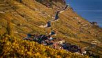 Alkohol: Schweizer Politiker will Promillegrenze im Kantonsparlament