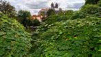 Geschichte: Welterbe in Quedlinburg: Was wann wieder geöffnet ist