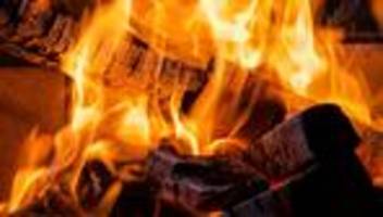 Holzöfen: Wie sehr schadet ein Ofen?