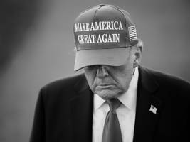 Ideas: Yes, It’s Fascism