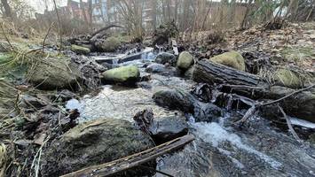 Schulenbrooksbek in Bergedorf: Bei Starkregen droht Überschwemmung
