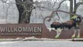 Aktion für Senioren: Tierpark: Kostenloser Eintritt im Februar für Besucher ab 65