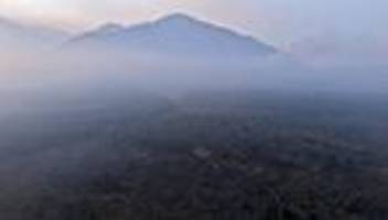 Argentinien: Milei ruft wegen Waldbränden in Patagonien Notstand aus