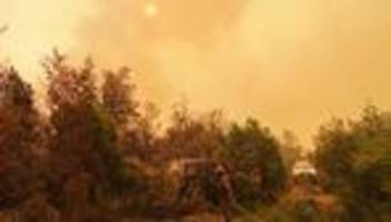 Notfälle: Waldbrände in Patagonien: Argentinien ruft den Notstand aus