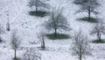 wetter-statistik: trotz der vielen schnee-tage: januar in nrw war zu warm