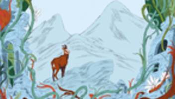 Österreichische bundesverfassung: wie schön ist die österreichische verfassung wirklich?