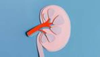 organspende: wird deutschland jetzt organspenderland?