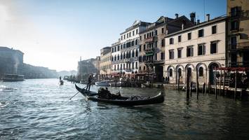 italien: neue „plage“ bedroht das mittelmeer – schlimmer als blaukrabbe