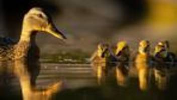 Elternliebe: Müssen wir schon los?