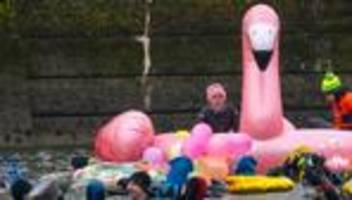 Kaltes Vergnügen: Mehr als 1.800 Schwimmer trotzen eisiger Donau