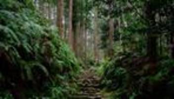 Wandern in Japan: Jakobsweg auf Japanisch