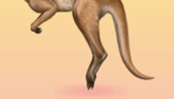 Riesenkängurus: Grenzen des Hüpfens