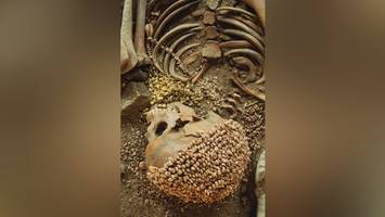 Erschreckender Tod – Steinzeit-Teenager durch Raubtierangriff getötet