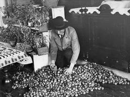 Brauchtum in Bayern: Als Mariä Lichtmess noch Feiertag war