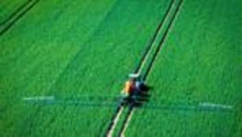 Landwirtschaft im Blindflug?: Studie: Pestizide schädigen Europas Böden und Nützlinge