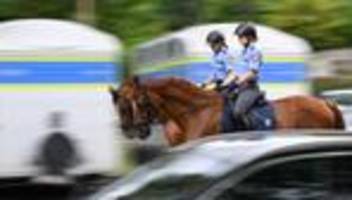 tiere im dienst: polizeipferde in hessen – mehr als 200 einsätze im jahr