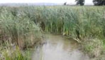 Welttag der Feuchtgebiete: Experte: Landwirtschaft auf Mooren ist endlich