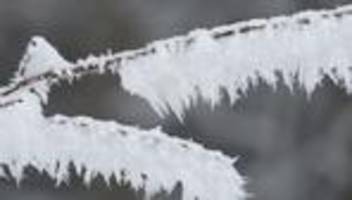 Wetter im Norden: Sturmböen und Schnee im Norden