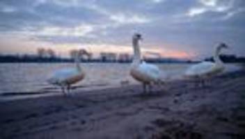 wetterprognose: glatte straßen zum wochenstart in nrw