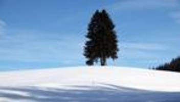 Wettervorhersage: Regen, Schnee und Sonne: Bayerns Wetter bleibt unbeständig