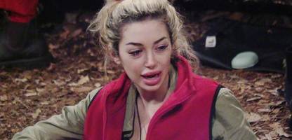 dschungelcamp tag 9: da ist doch was im busch