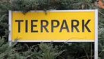 Tierseuche: Vogelgrippe: Tierpark Chemnitz muss zahlreiche Vögel töten